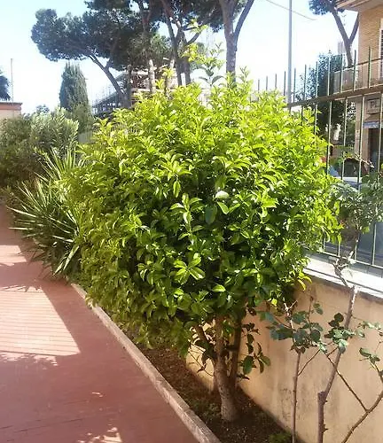 La Casetta Gialla Di Edoardo Apartamento